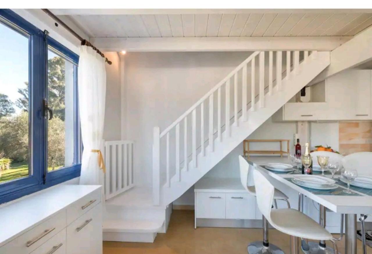 Govino Bay Luxury Beach Loft Apartment Danilia Eksteriør billede